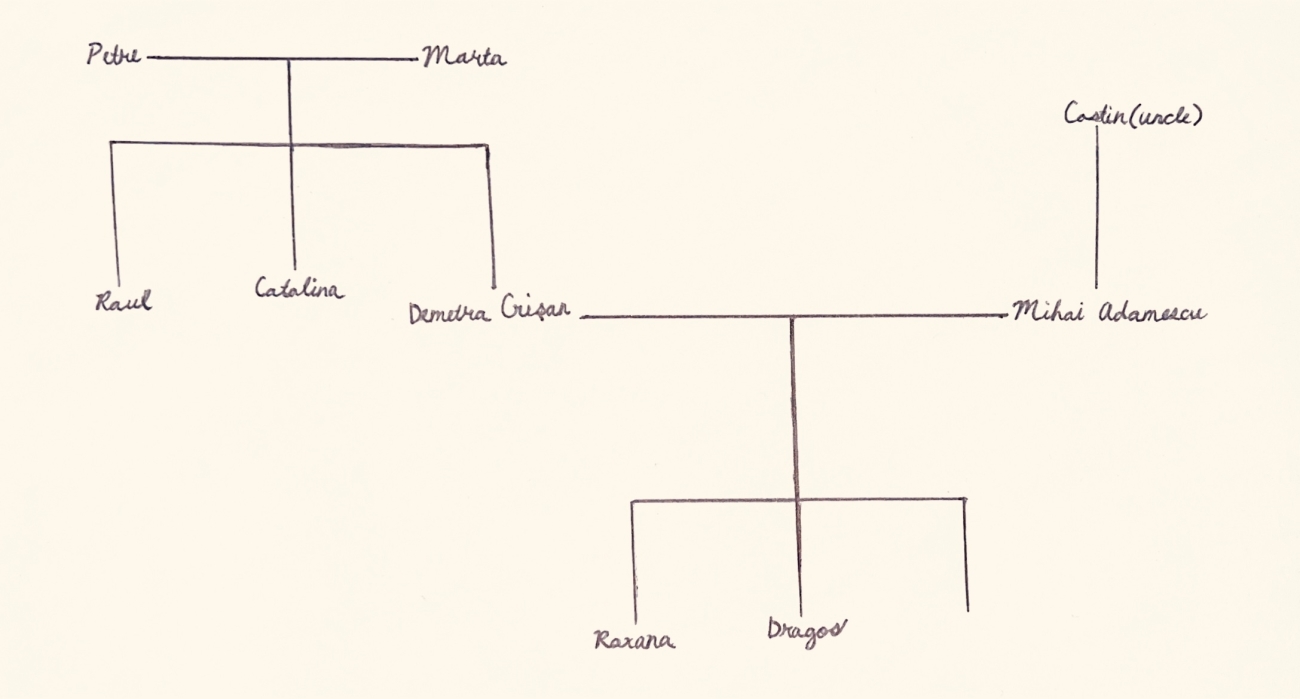 Adamescu Family Tree 1993